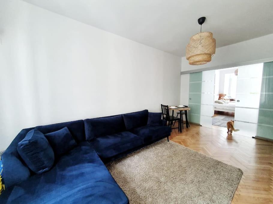 Spacious And Quiet 1Br Apartment In Floreasca Букурещ Екстериор снимка